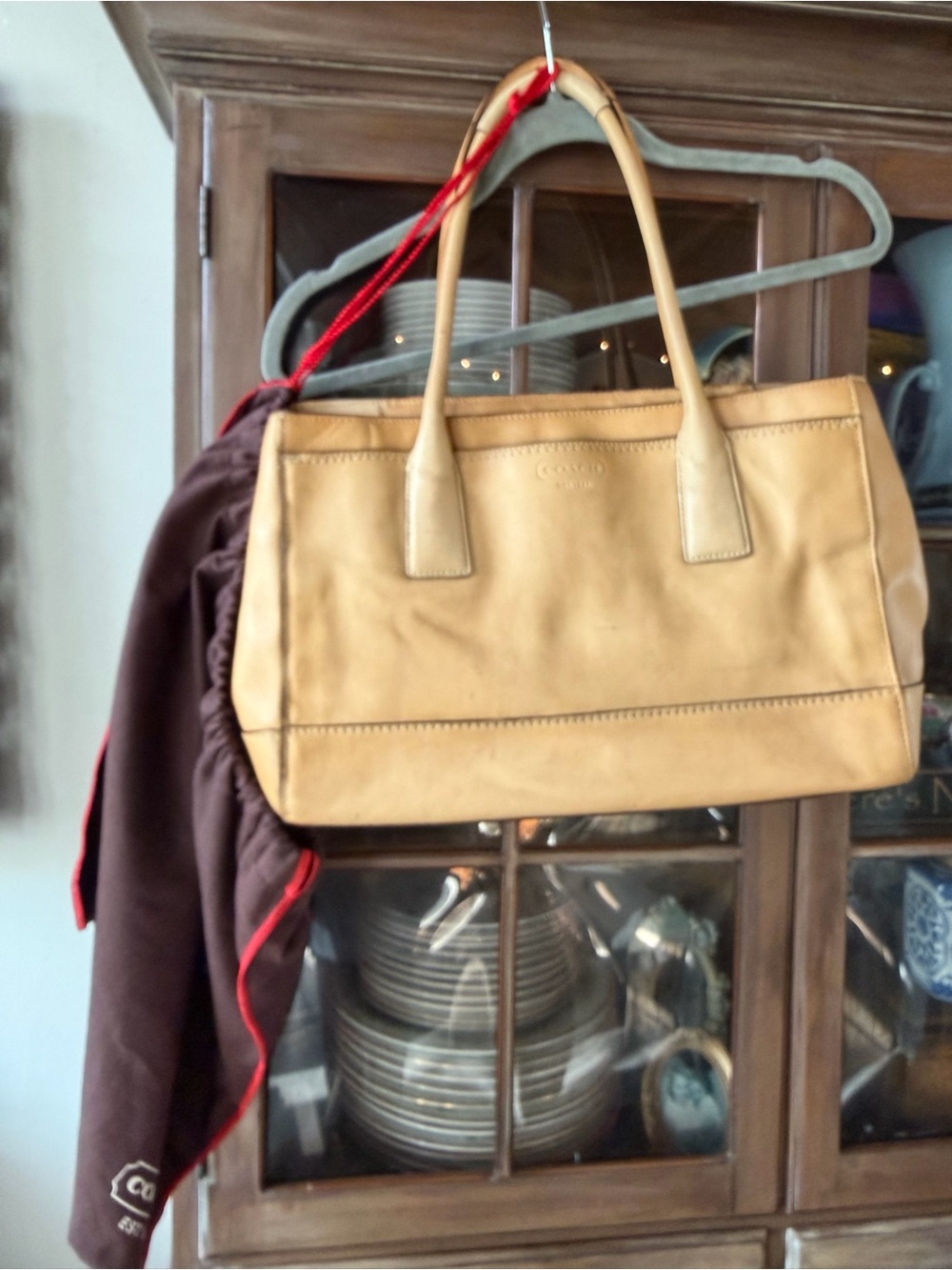 Classic Leather Tote Bag in Tan